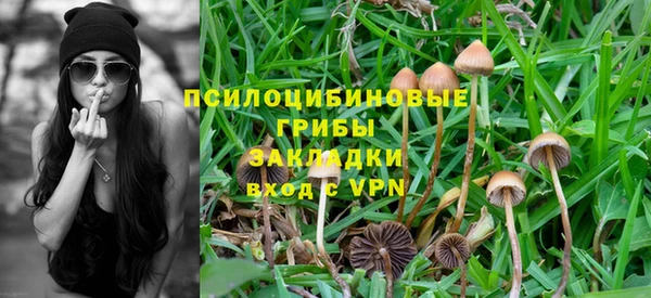 ГАЛЛЮЦИНОГЕННЫЕ ГРИБЫ Навашино