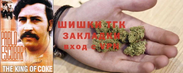 ГАЛЛЮЦИНОГЕННЫЕ ГРИБЫ Навашино
